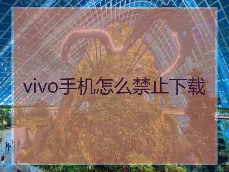 vivo手机怎么禁止下载