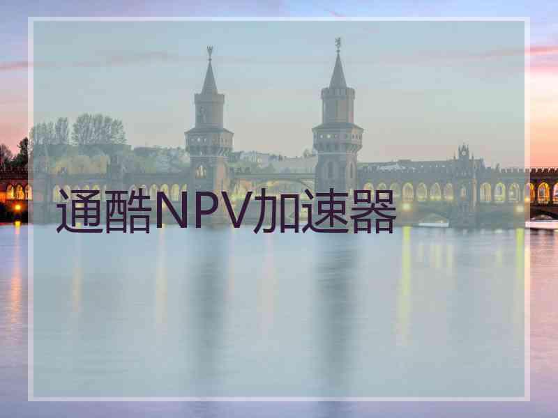 通酷NPV加速器