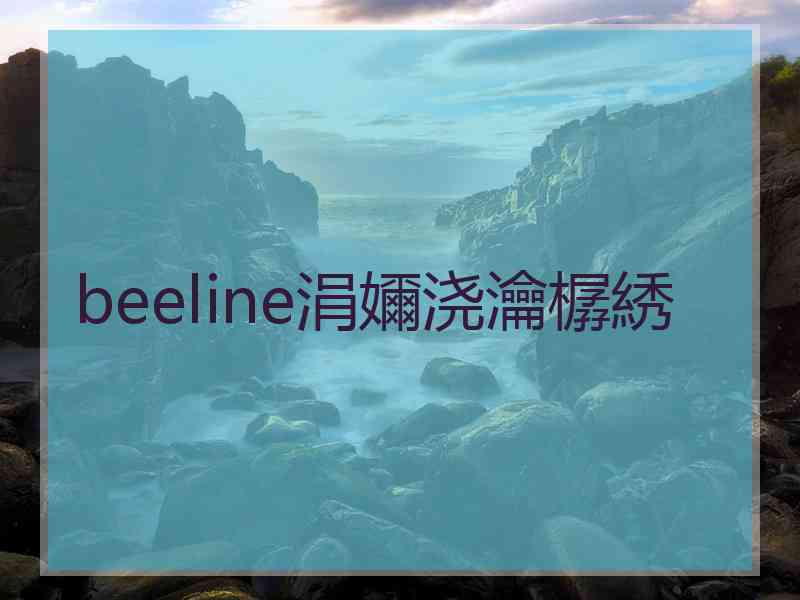 beeline涓嬭浇瀹樼綉