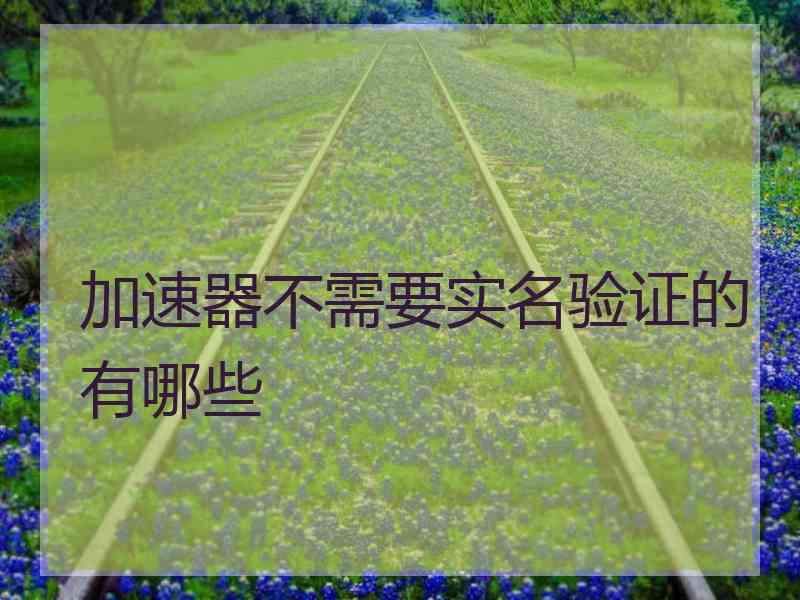 加速器不需要实名验证的有哪些