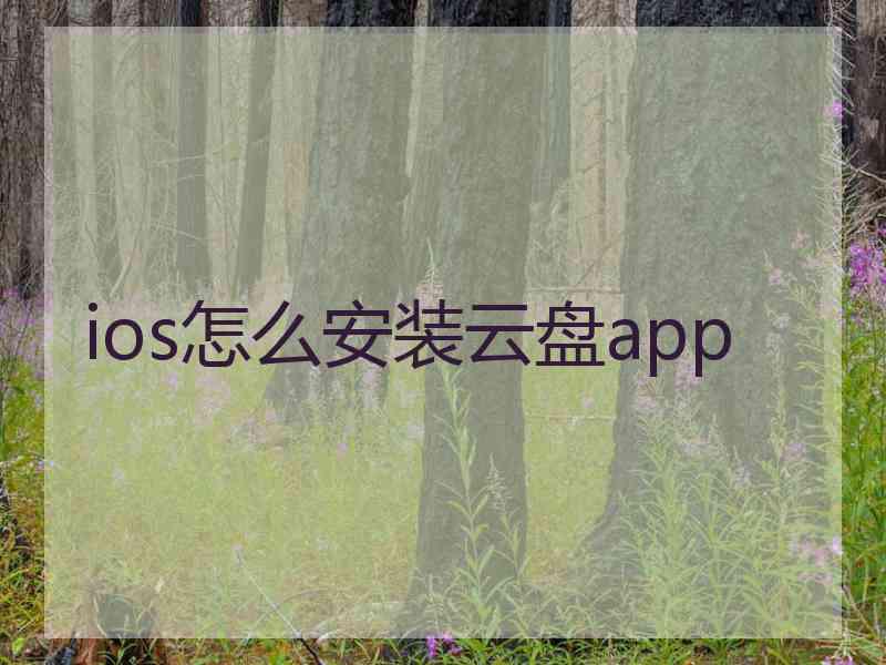 ios怎么安装云盘app