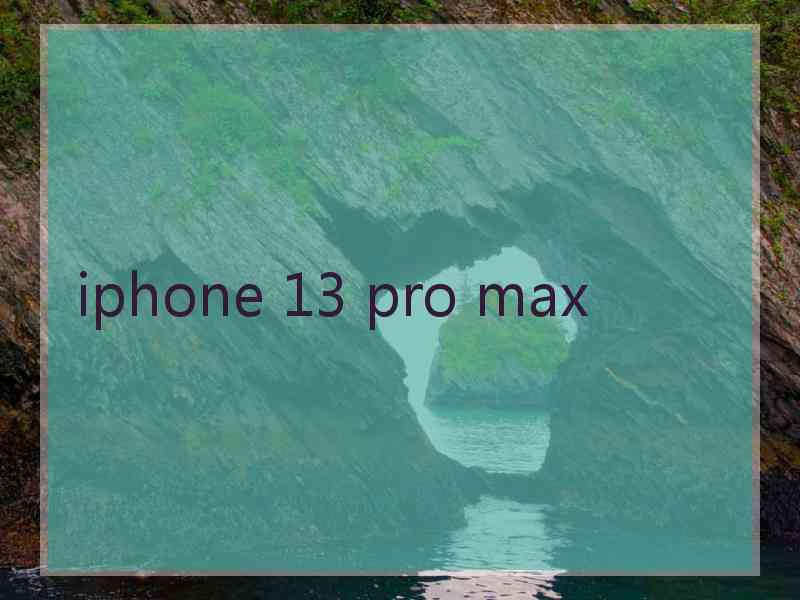 iphone 13 pro max