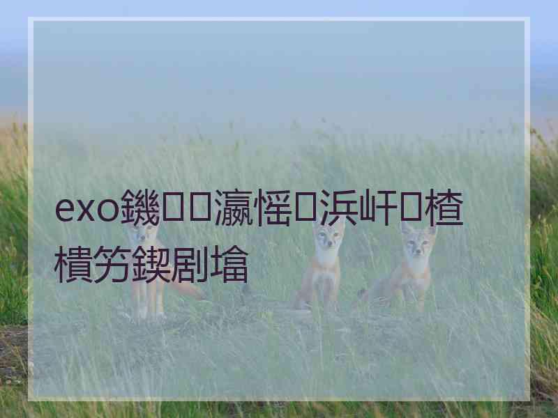 exo鐖瀛愮浜屽楂樻竻鍥剧墖