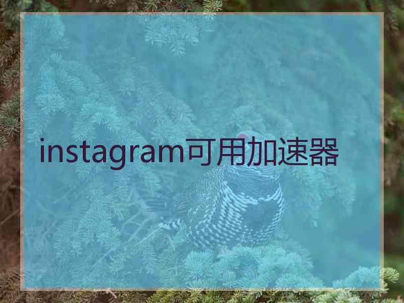 instagram可用加速器