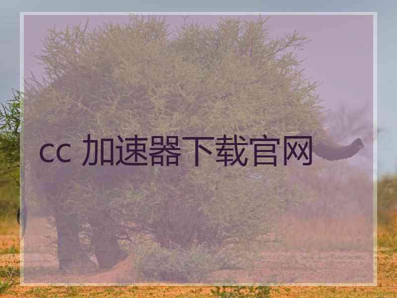 cc 加速器下载官网