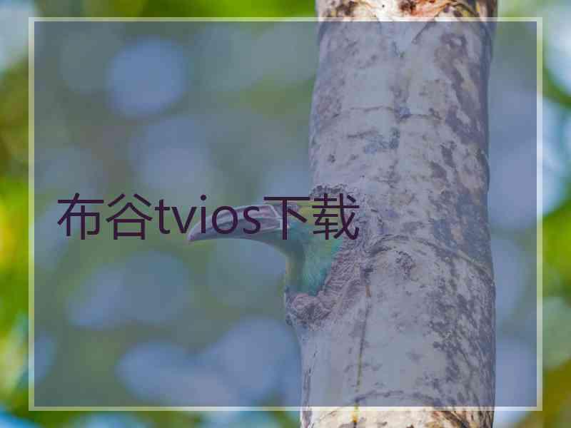 布谷tvios下载