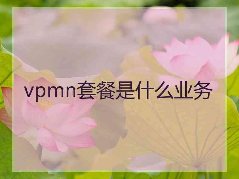 vpmn套餐是什么业务