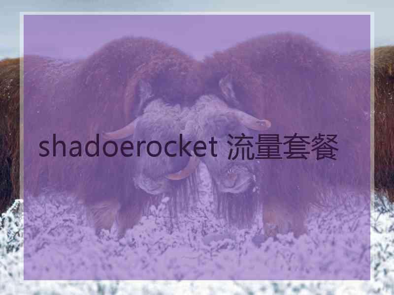 shadoerocket 流量套餐