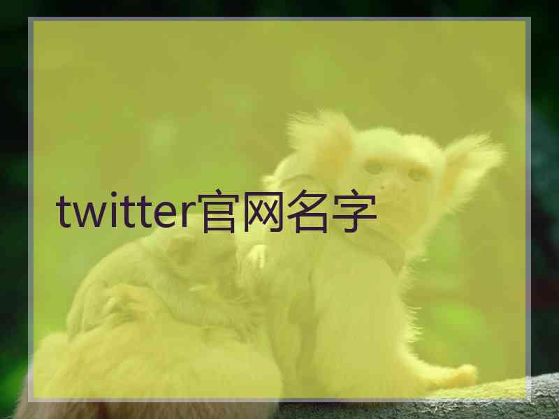 twitter官网名字