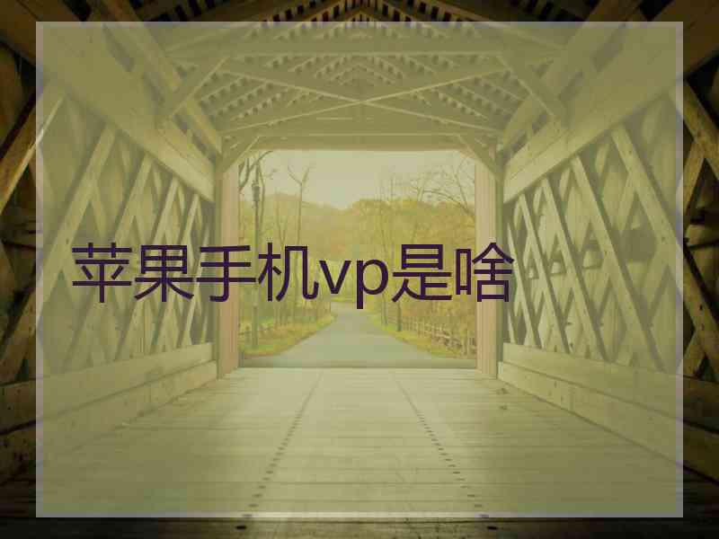 苹果手机vp是啥