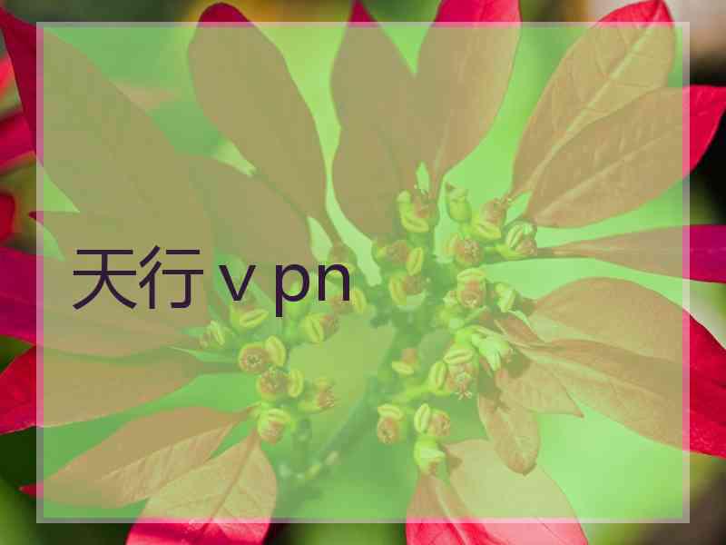 天行ⅴpn