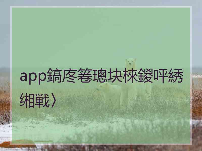 app鎬庝箞璁块棶鍐呯綉缃戦〉