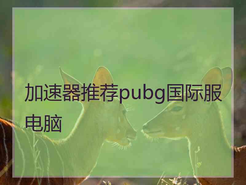 加速器推荐pubg国际服电脑