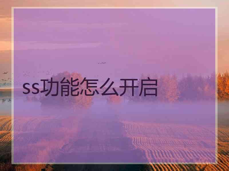 ss功能怎么开启