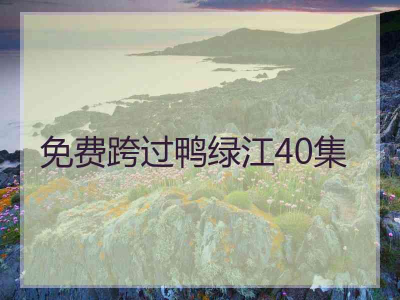 免费跨过鸭绿江40集