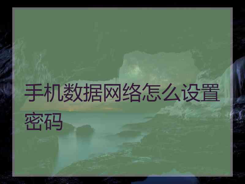 手机数据网络怎么设置密码