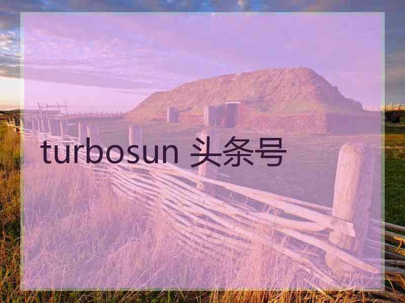 turbosun 头条号