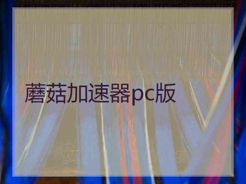 蘑菇加速器pc版