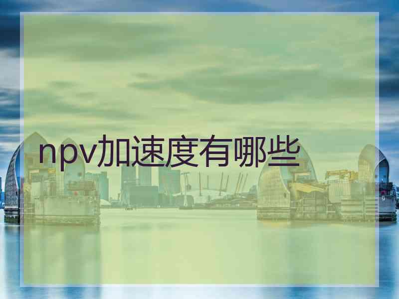 npv加速度有哪些