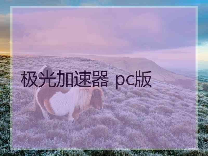 极光加速器 pc版