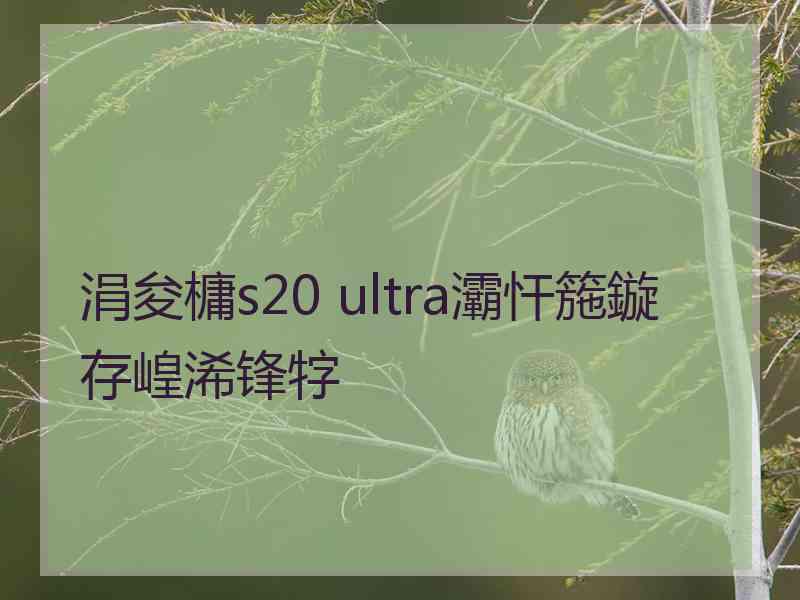 涓夋槦s20 ultra灞忓箷鏇存崲浠锋牸