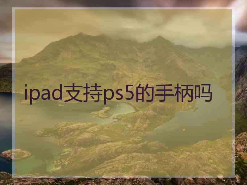 ipad支持ps5的手柄吗