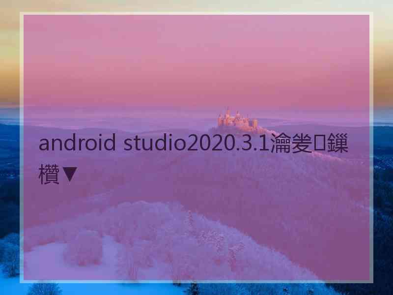 android studio2020.3.1瀹夎鏁欑▼