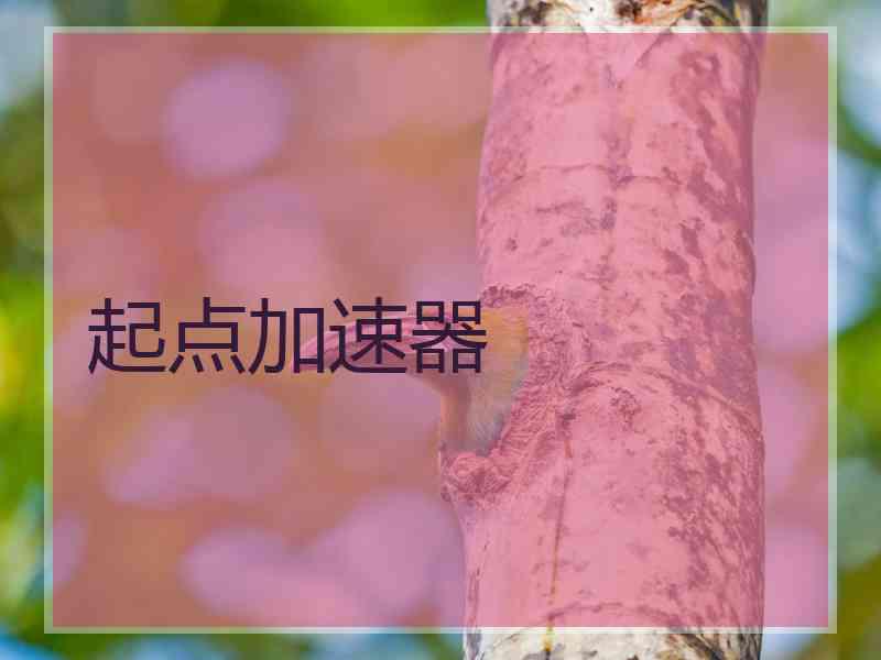 起点加速器