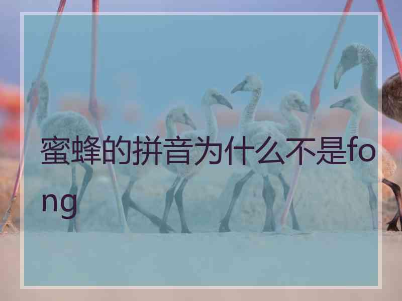 蜜蜂的拼音为什么不是fong