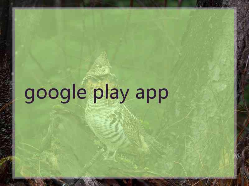 google play app