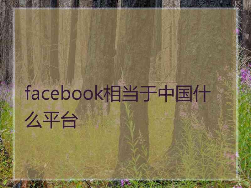 facebook相当于中国什么平台