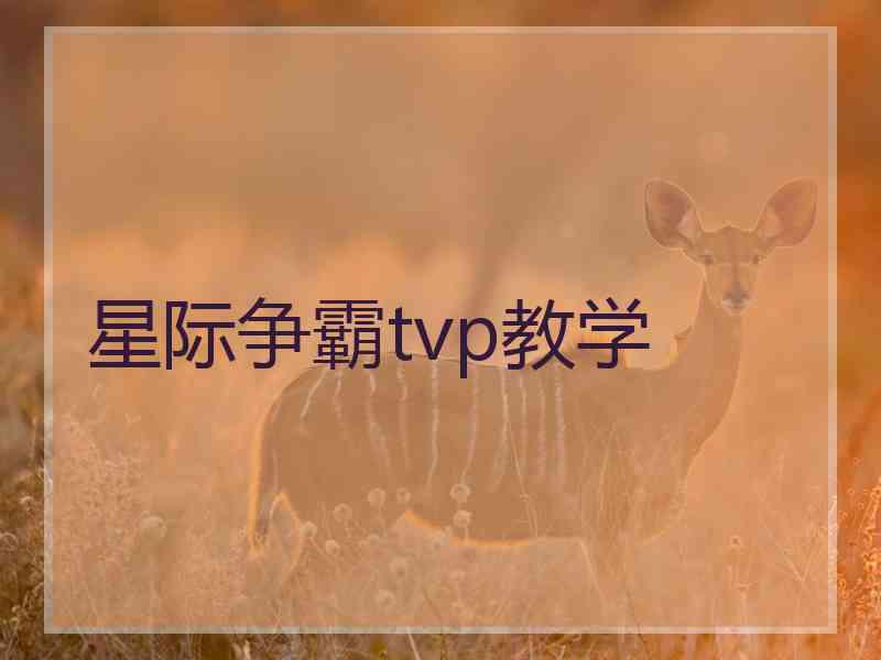 星际争霸tvp教学