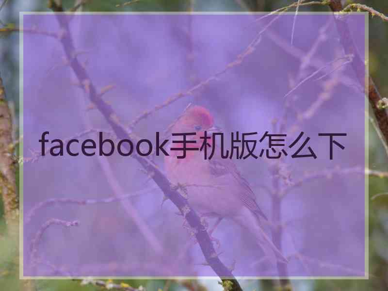 facebook手机版怎么下