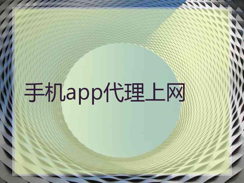 手机app代理上网