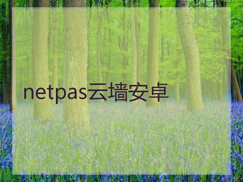 netpas云墙安卓