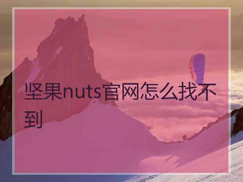 坚果nuts官网怎么找不到