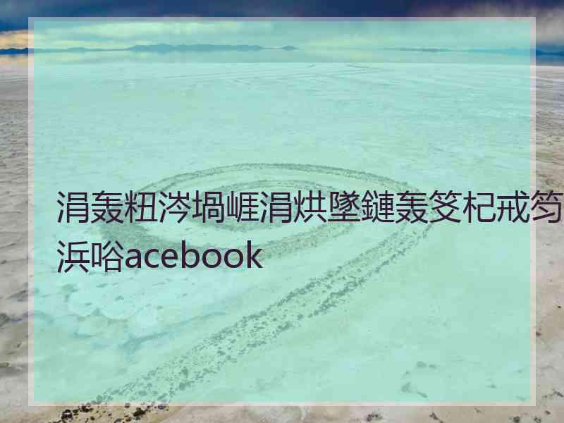 涓轰粈涔堝崕涓烘墜鏈轰笅杞戒笉浜唂acebook