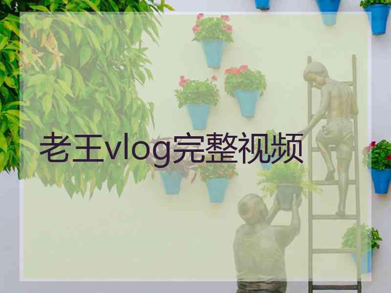 老王vlog完整视频