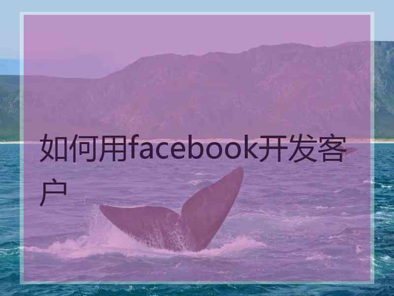 如何用facebook开发客户