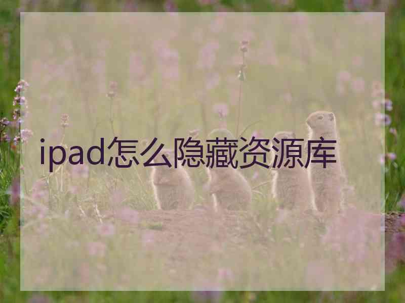 ipad怎么隐藏资源库