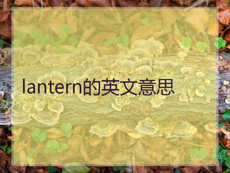 lantern的英文意思