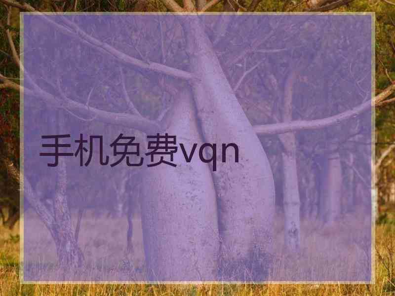 手机免费vqn