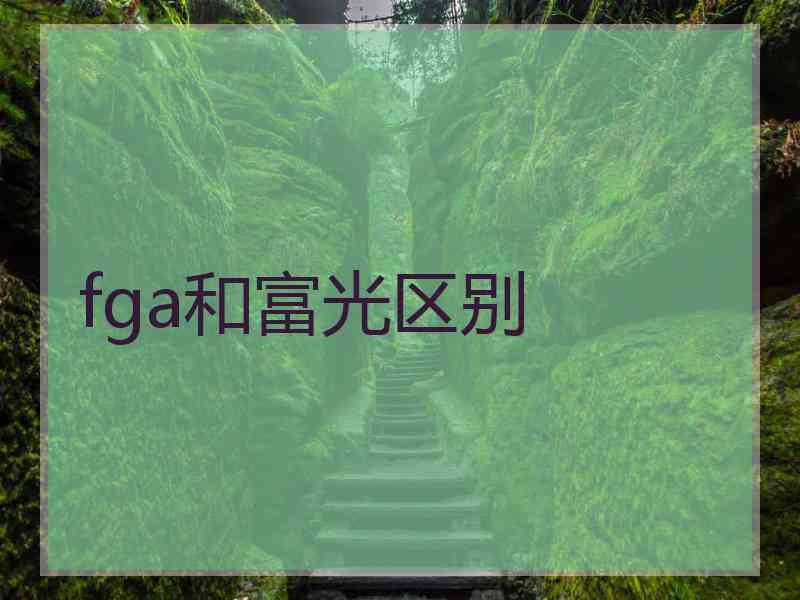 fga和富光区别