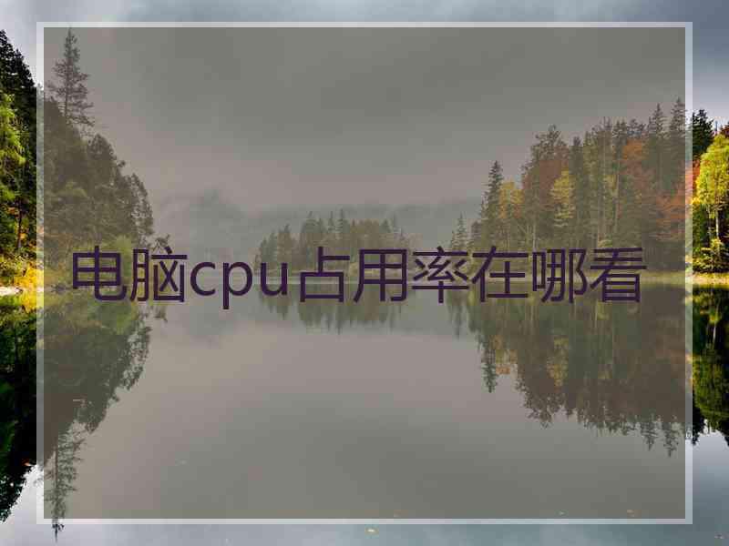 电脑cpu占用率在哪看