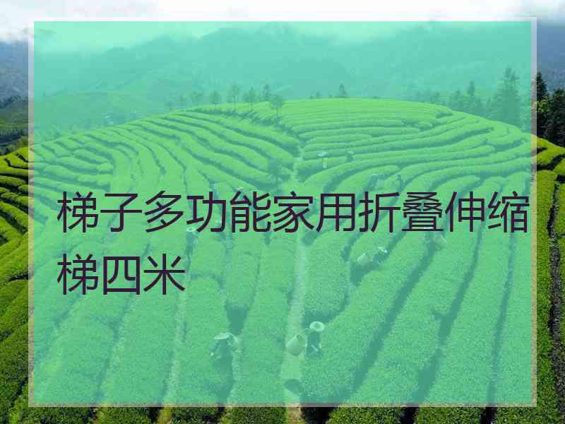 梯子多功能家用折叠伸缩梯四米