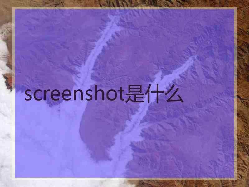 screenshot是什么