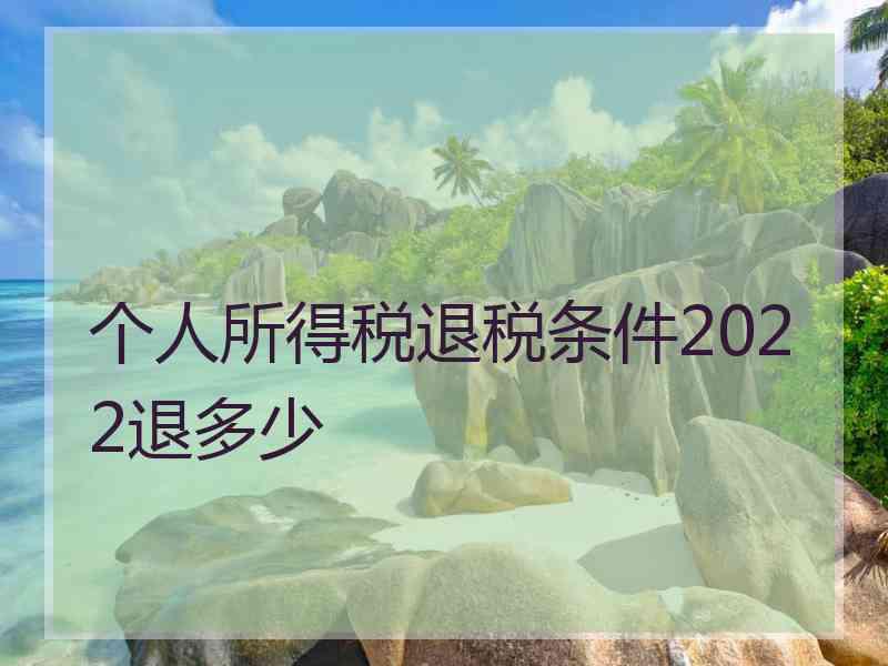 个人所得税退税条件2022退多少