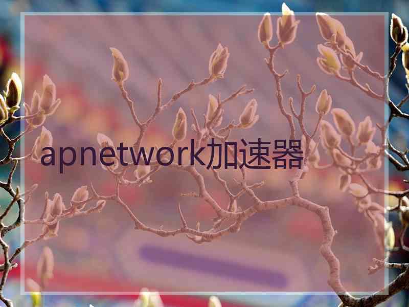 apnetwork加速器