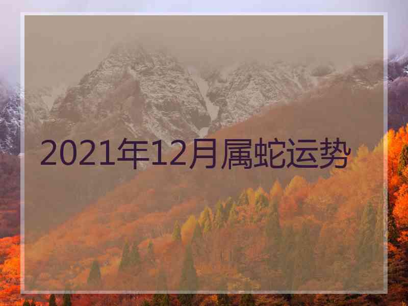 2021年12月属蛇运势