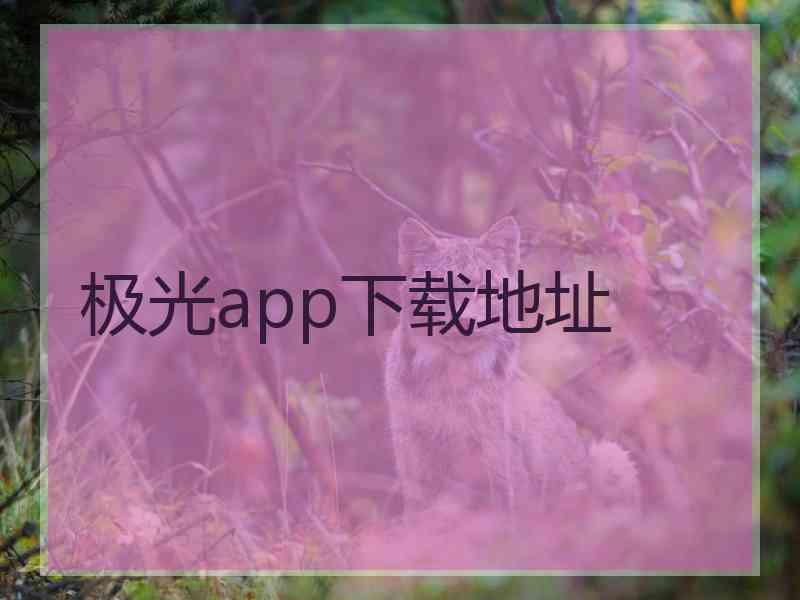 极光app下载地址